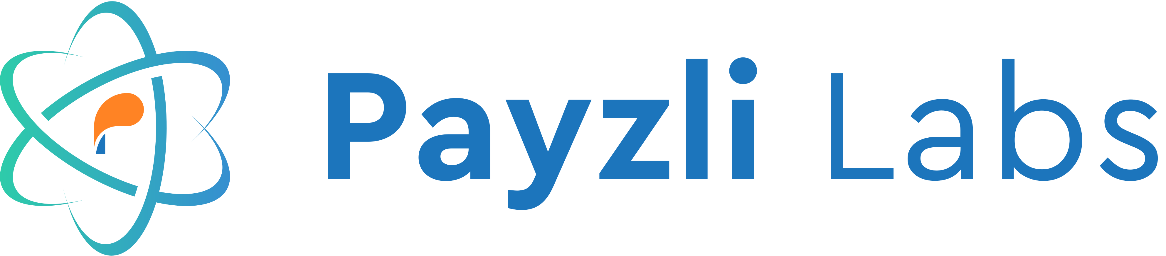 Payzli Labs Logo