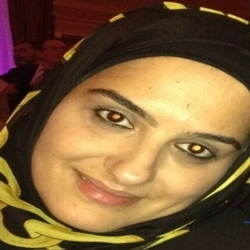 Payzli Connect Review